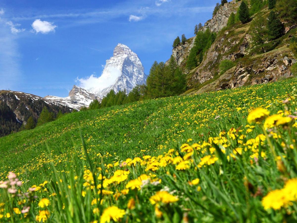 Apartment Grillon-3 By Interhome Zermatt Ngoại thất bức ảnh