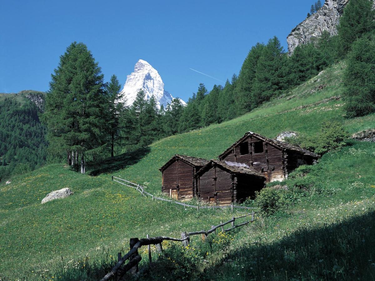 Apartment Grillon-3 By Interhome Zermatt Ngoại thất bức ảnh